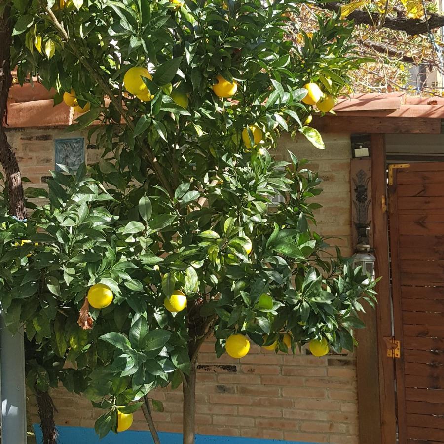 Hotel Alina Cangas De Narcea Exterior foto